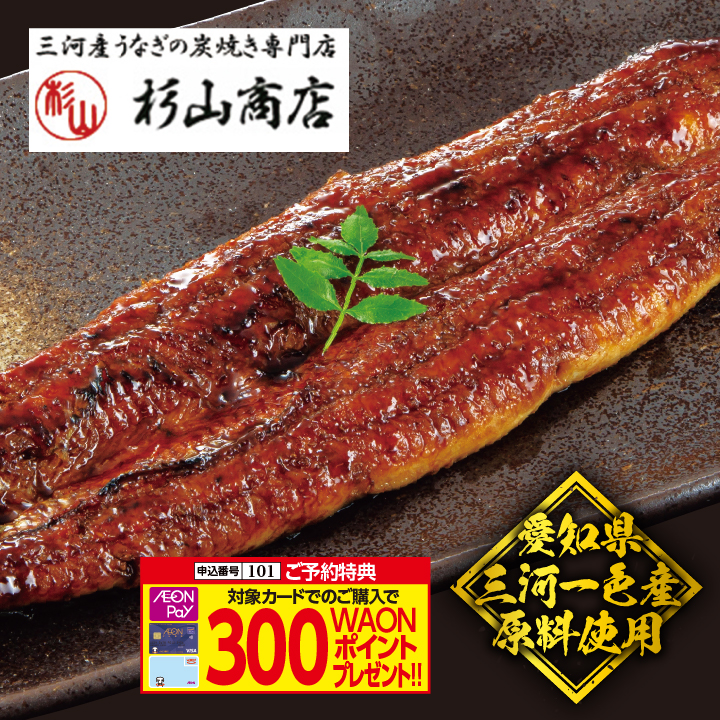 【杉山商店】 炭火焼きうなぎ蒲焼（特大サイズ）【原料原産地：愛知県三河一色】 商品サムネイル